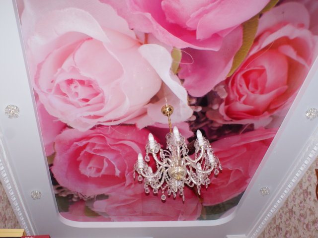 Натяжной потолок с фотопечатью 1